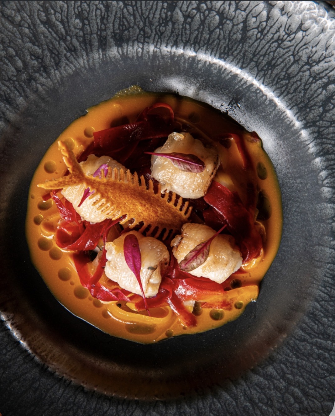 Gourmet di Terra