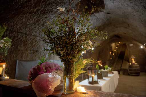 Degustazione in Cantina